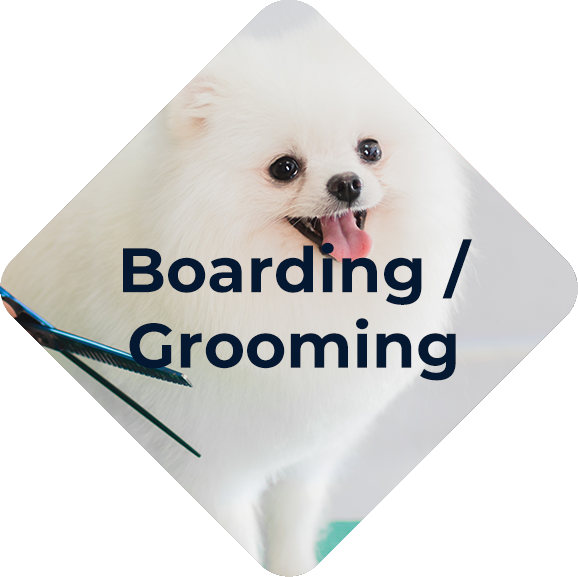 Country Hills Veterinary Clinic Boarding and grooming