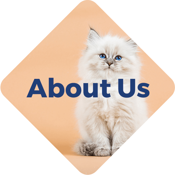 Country Hills Veterinary Clinic About Us