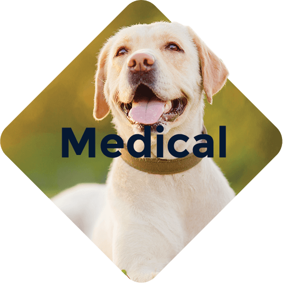 Country Hills Veterinary Clinic Medical